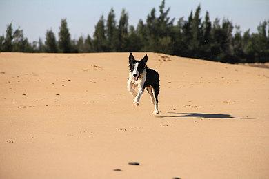 Steam主域名被工信部拉黑 官方回应：有违规行为